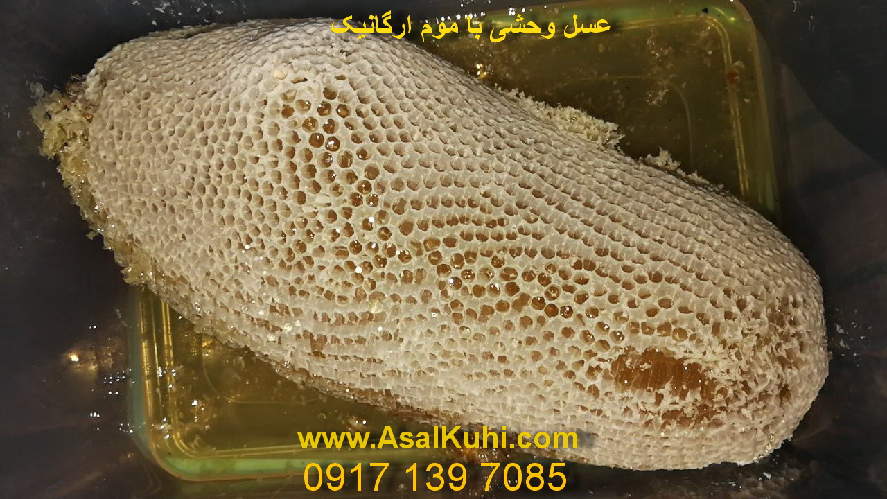 عسل وحشی با موم طبیعی